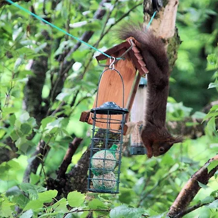 Mes Oasis Nancy * Villers-lès-Nancy