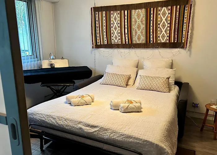 住宿加早餐酒店 Mes Oasis Nancy Villers-lès-Nancy