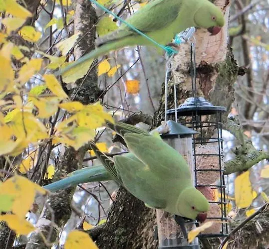 住宿加早餐酒店 Mes Oasis Nancy
