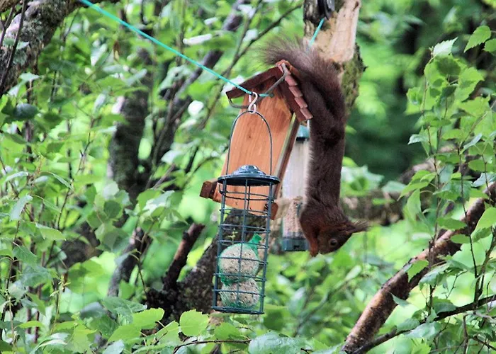 Mes Oasis Nancy * Villers-lès-Nancy